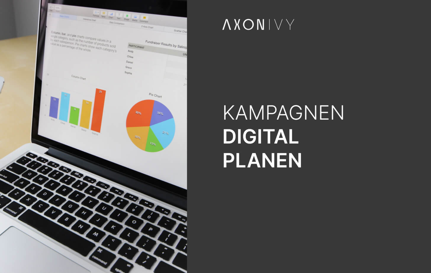 axonivy-card-small-use-case-video-campaign-management