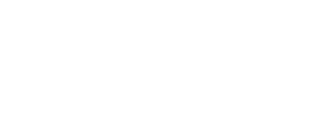 Wegener IT GmbH & Co. KG